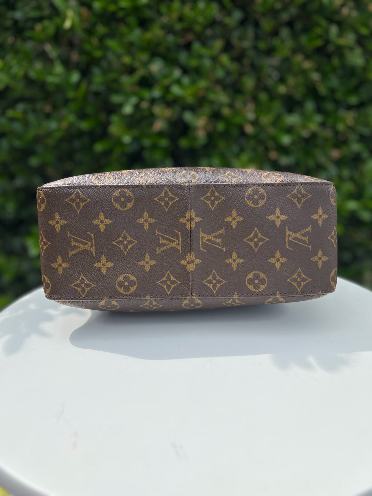 LV Brown Purse