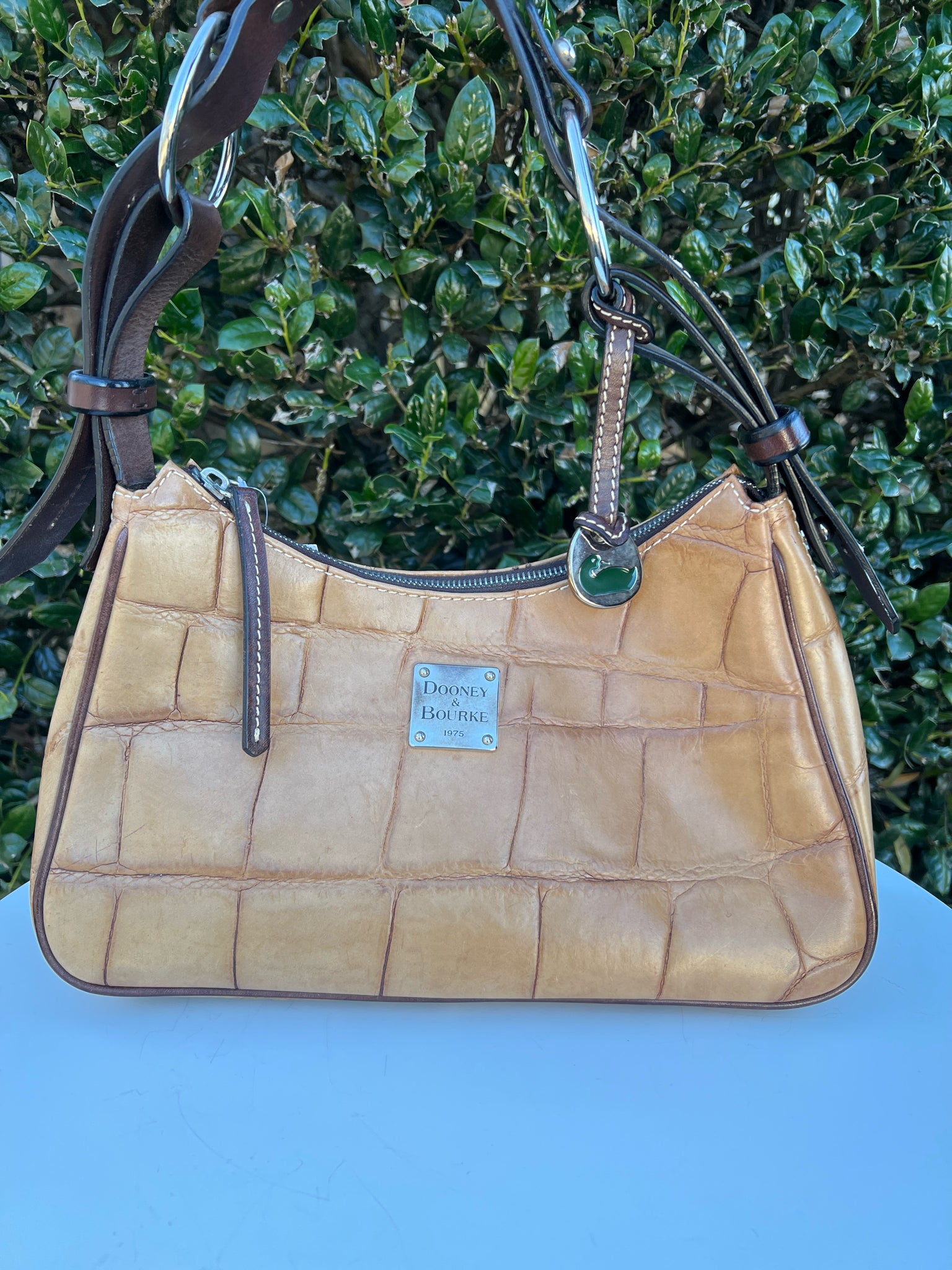 DOONEY & BOURKE Tan Purse