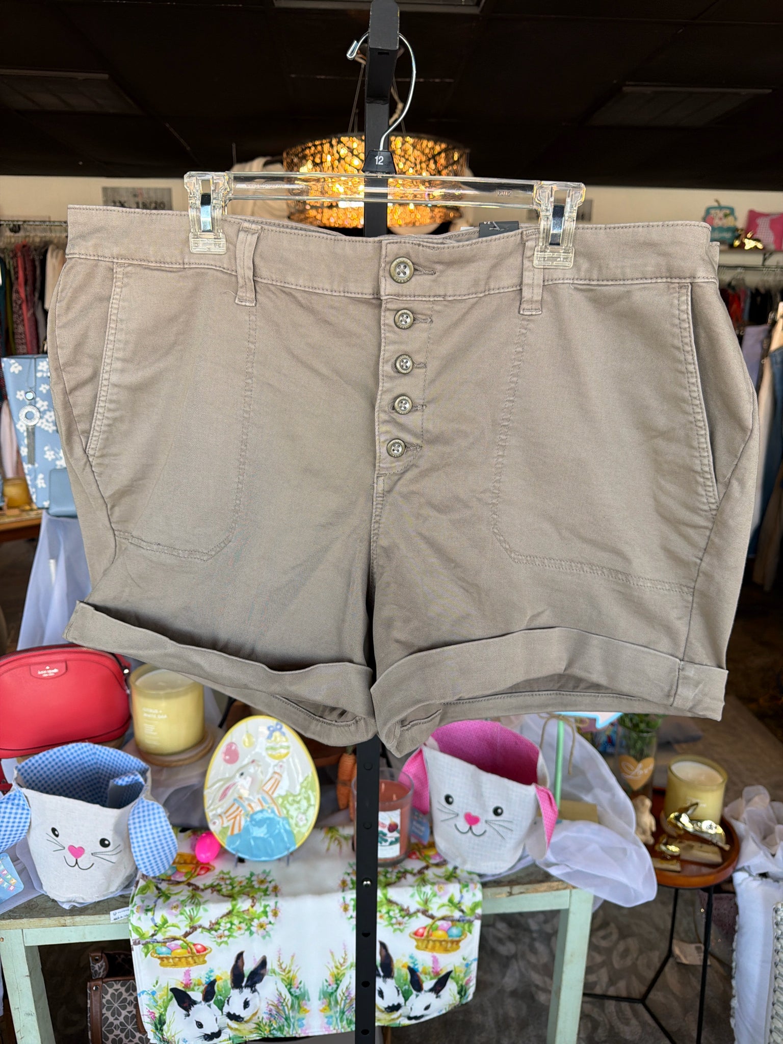 torrid Plus Bottoms Size 24 Shorts