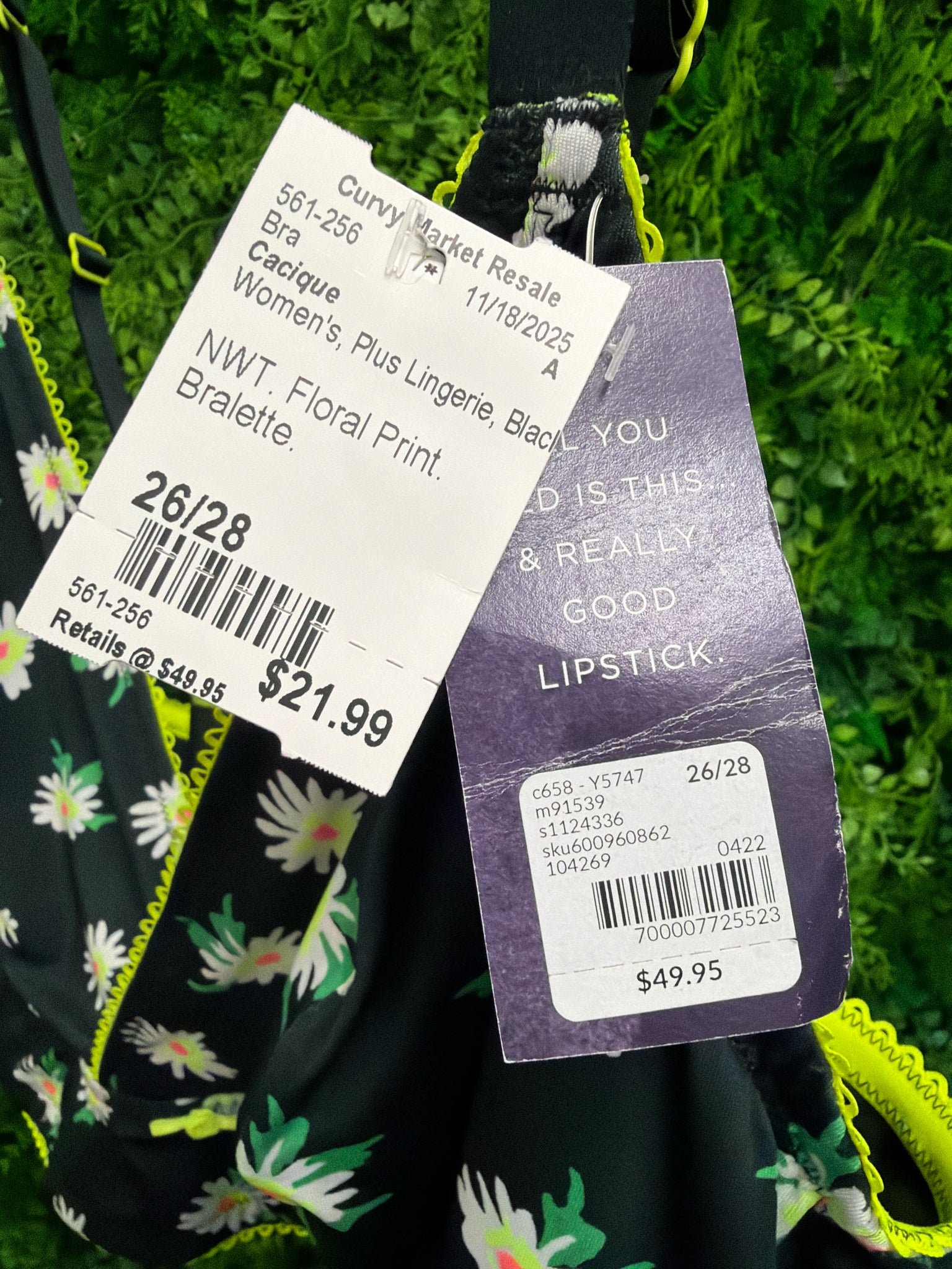 Cacique Plus Lingerie Size 26/28 Bra