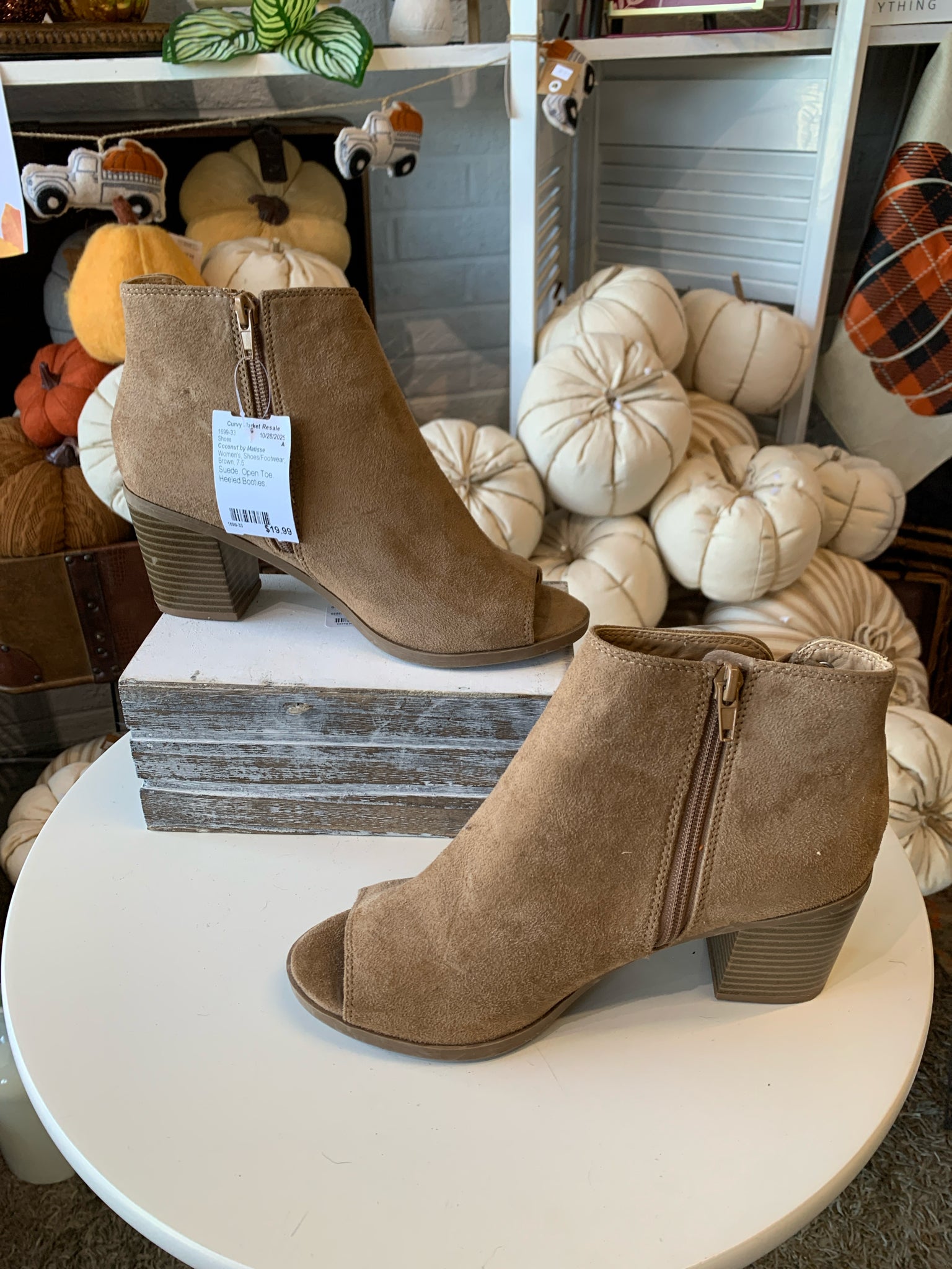 Coconut by Matisse Shoes/Footwear 7.5 Shoes