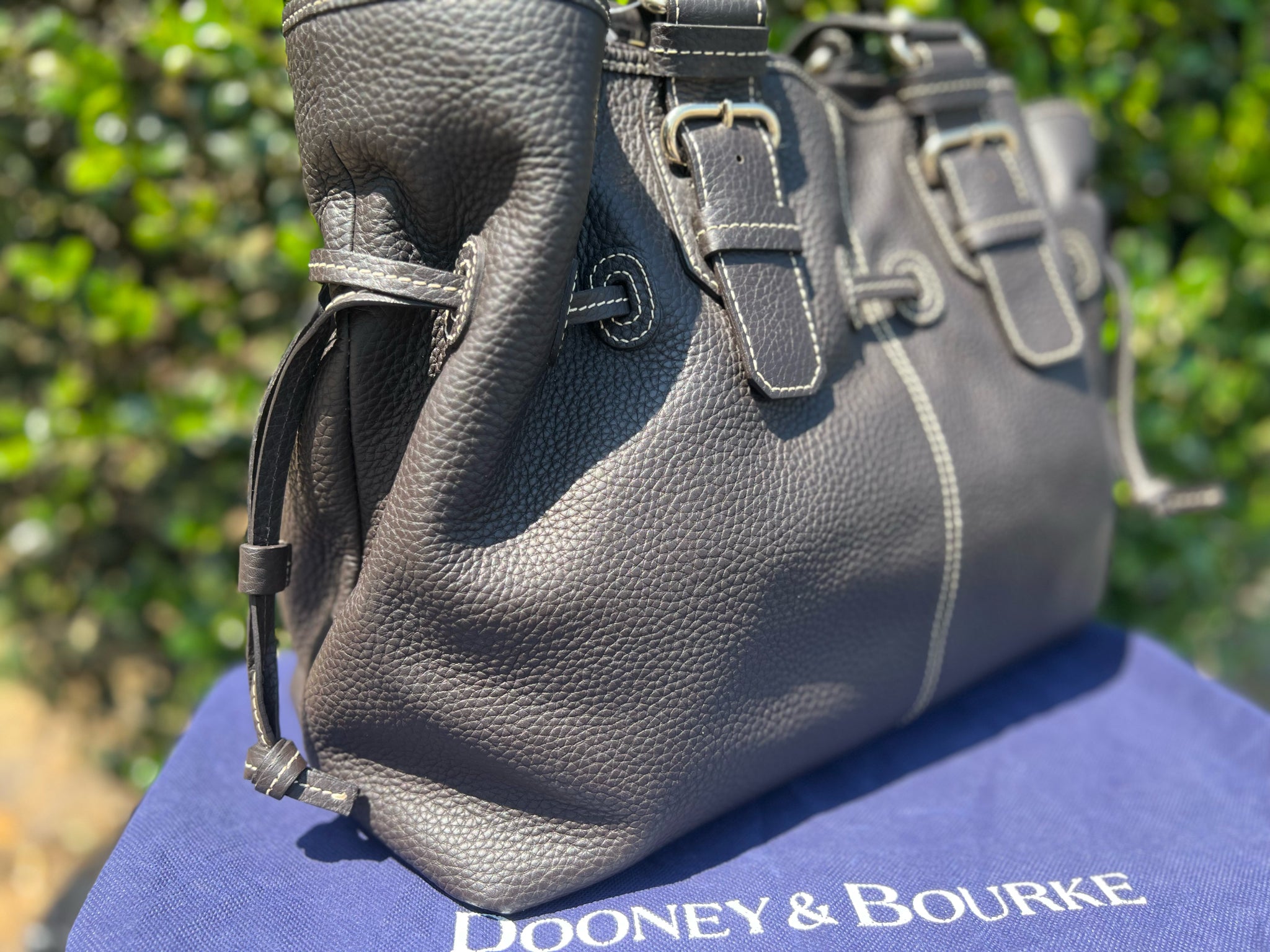 DOONEY & BOURKE Dark Brown Purse