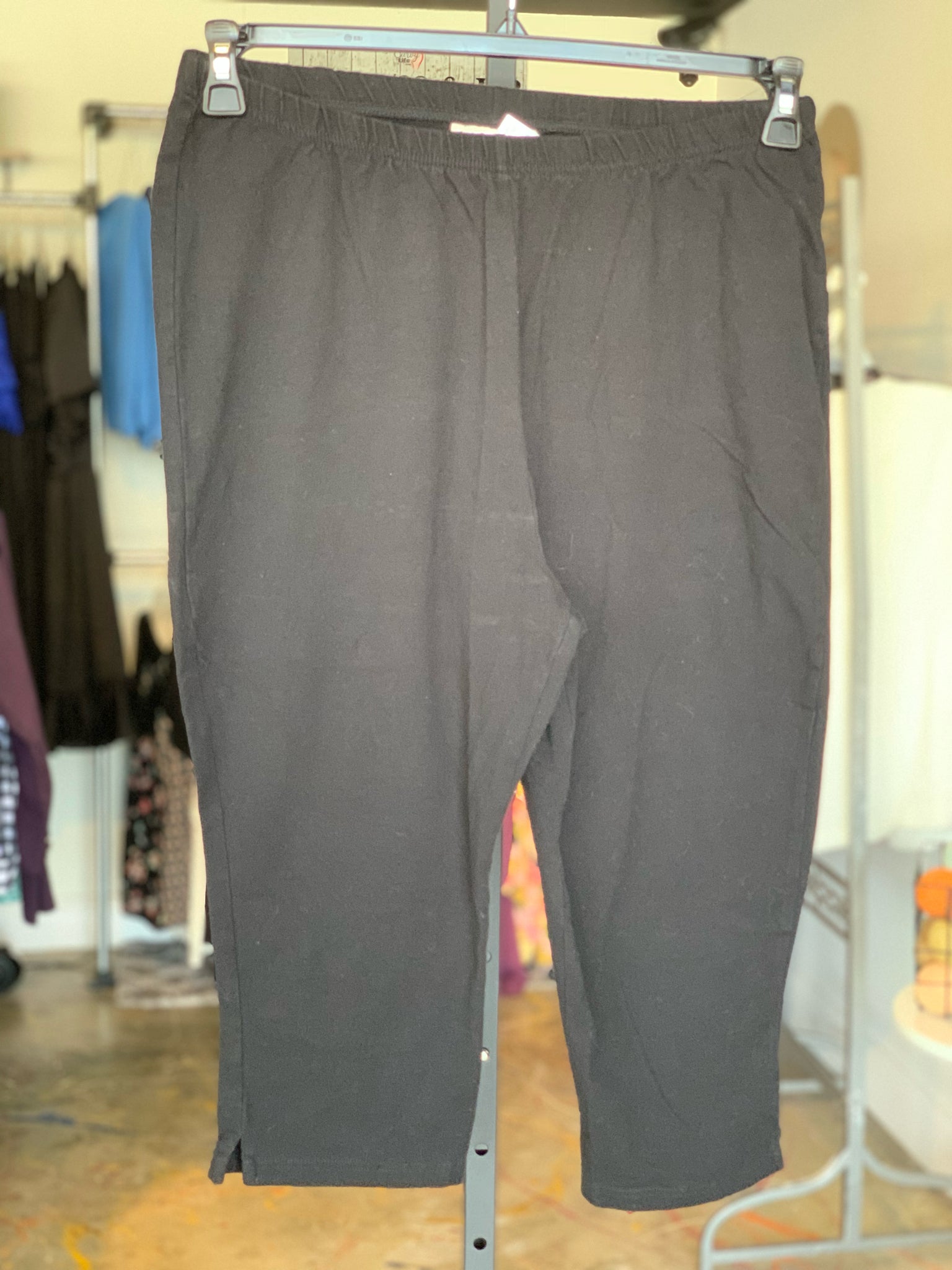 women within Womens Bottoms Size 18/20 Pants