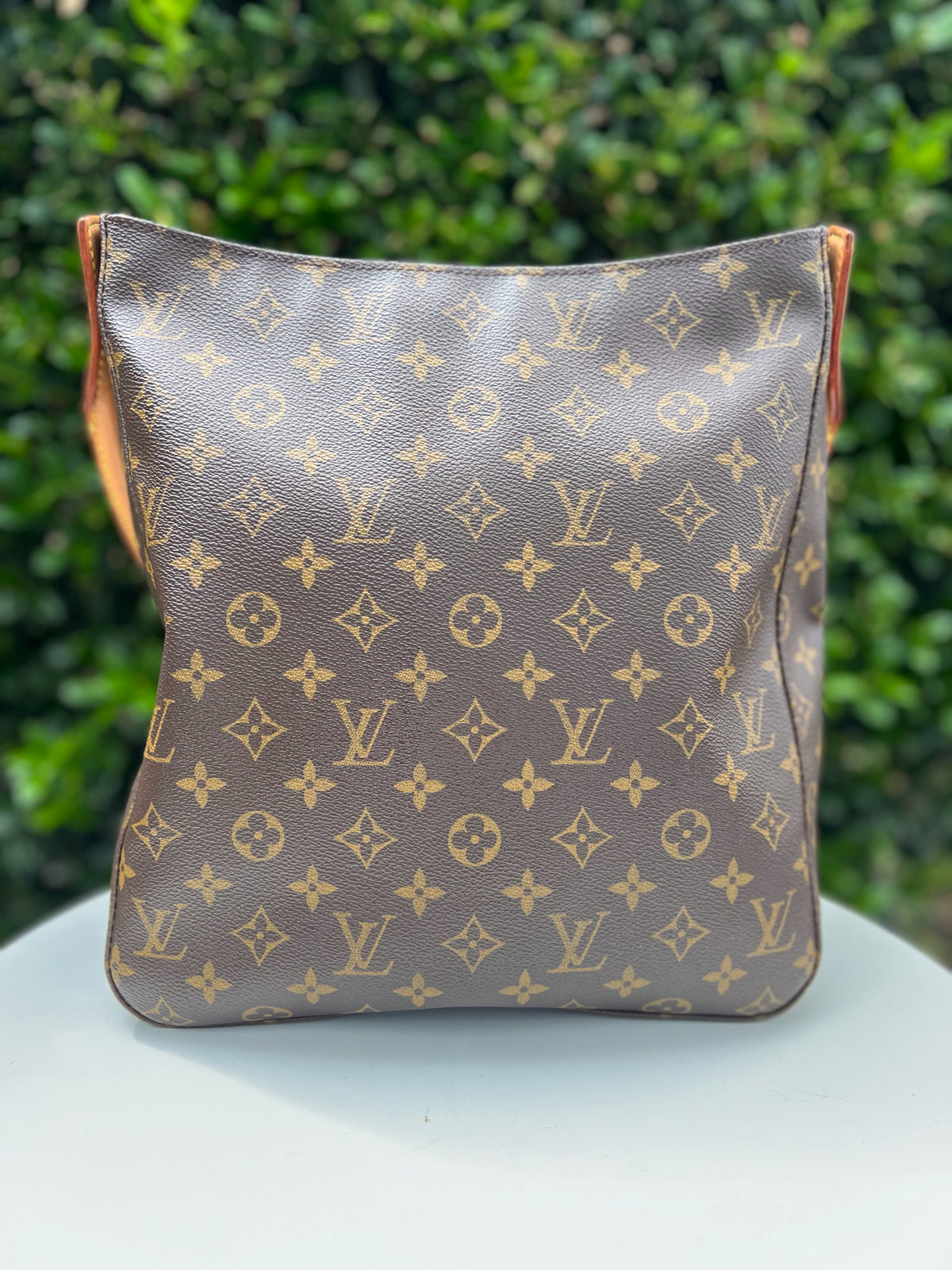 LV Brown Purse