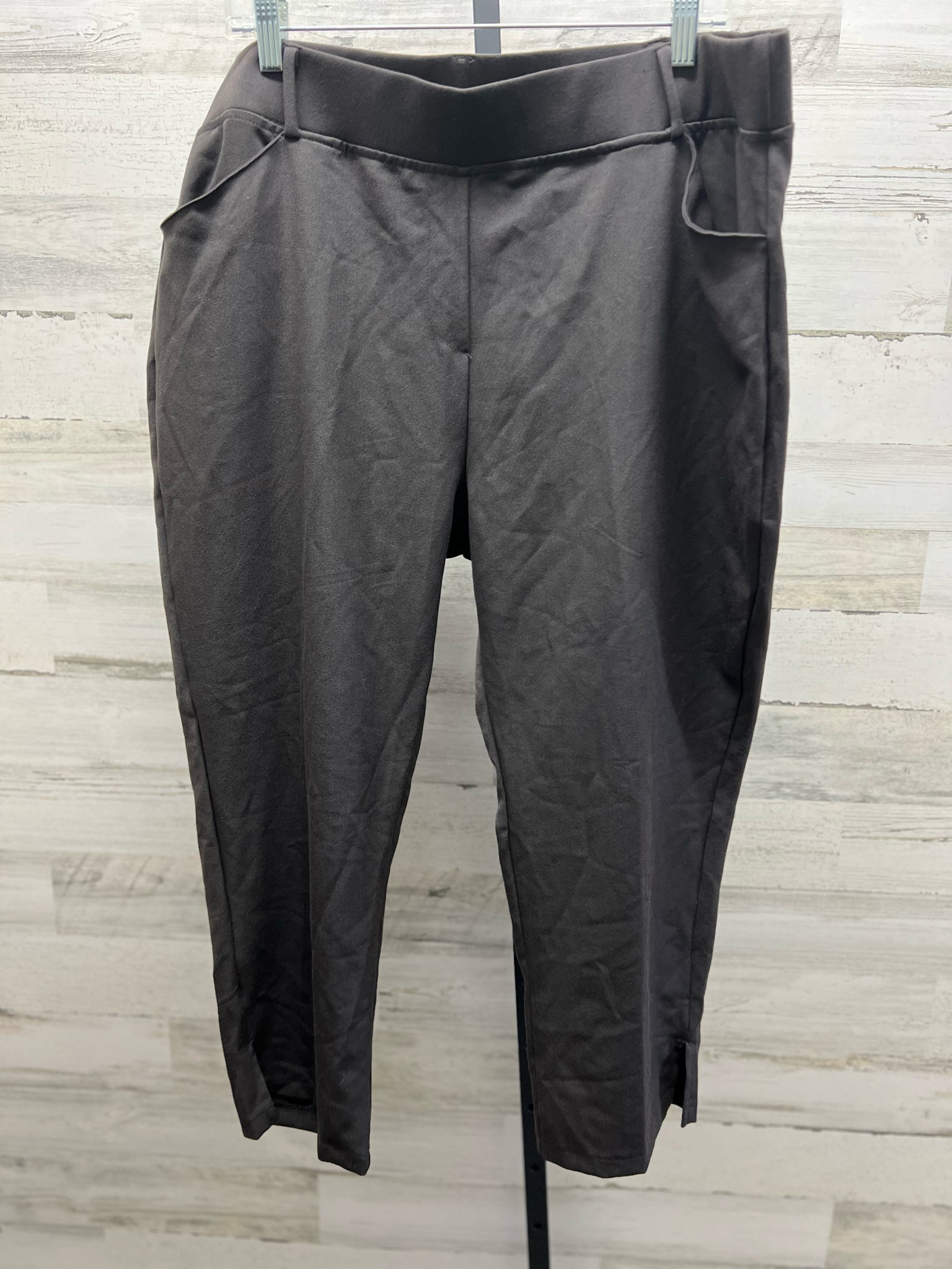 Size 2X Jesse & J Pants