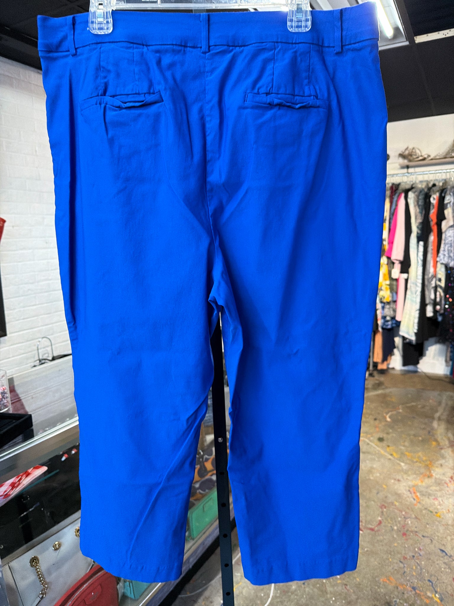 Lane Bryant Plus Bottoms Size 20 Pants