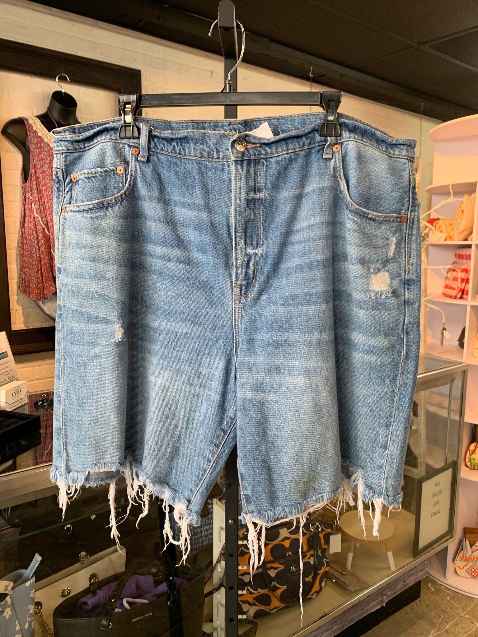 American Eagle Plus Bottoms Size 18 Shorts