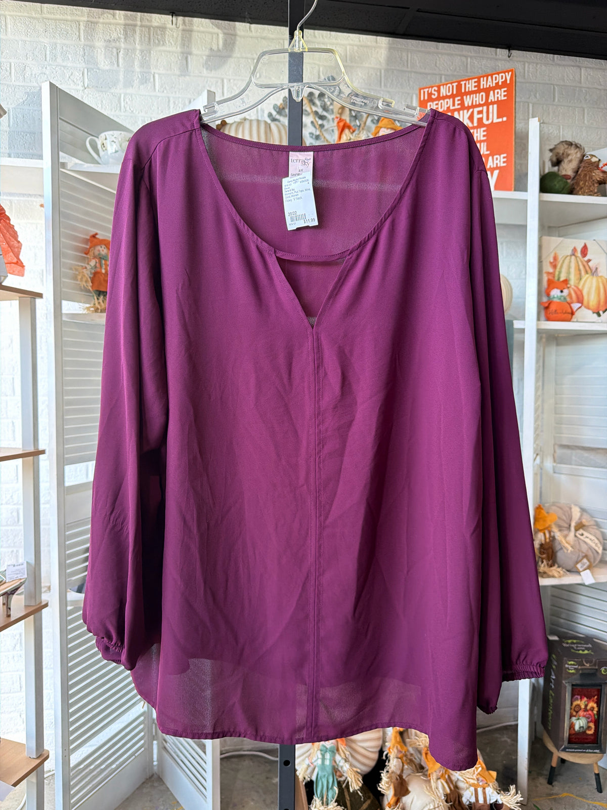 Terra & Sky Plus Tops Size 20/22 Blouse