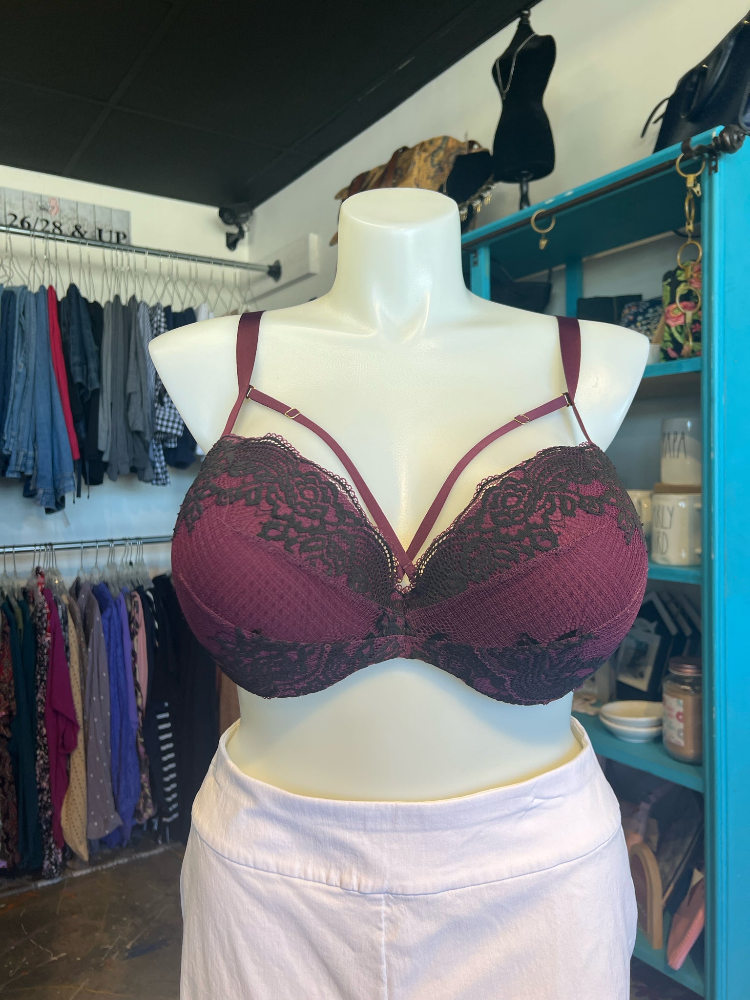 Cacique Plus Lingerie Size 48B Bra