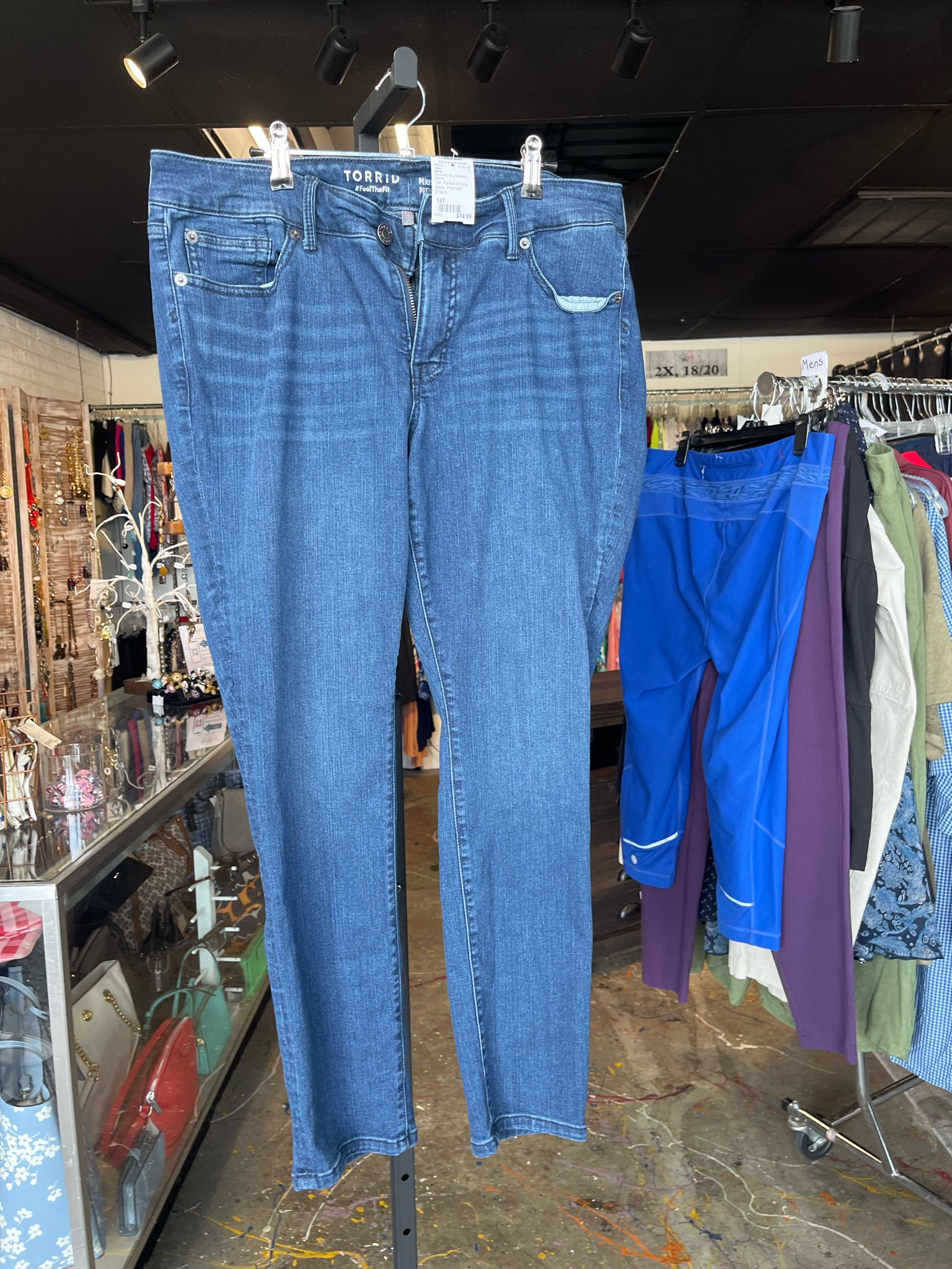 torrid Plus Bottoms Size 14T Jeans