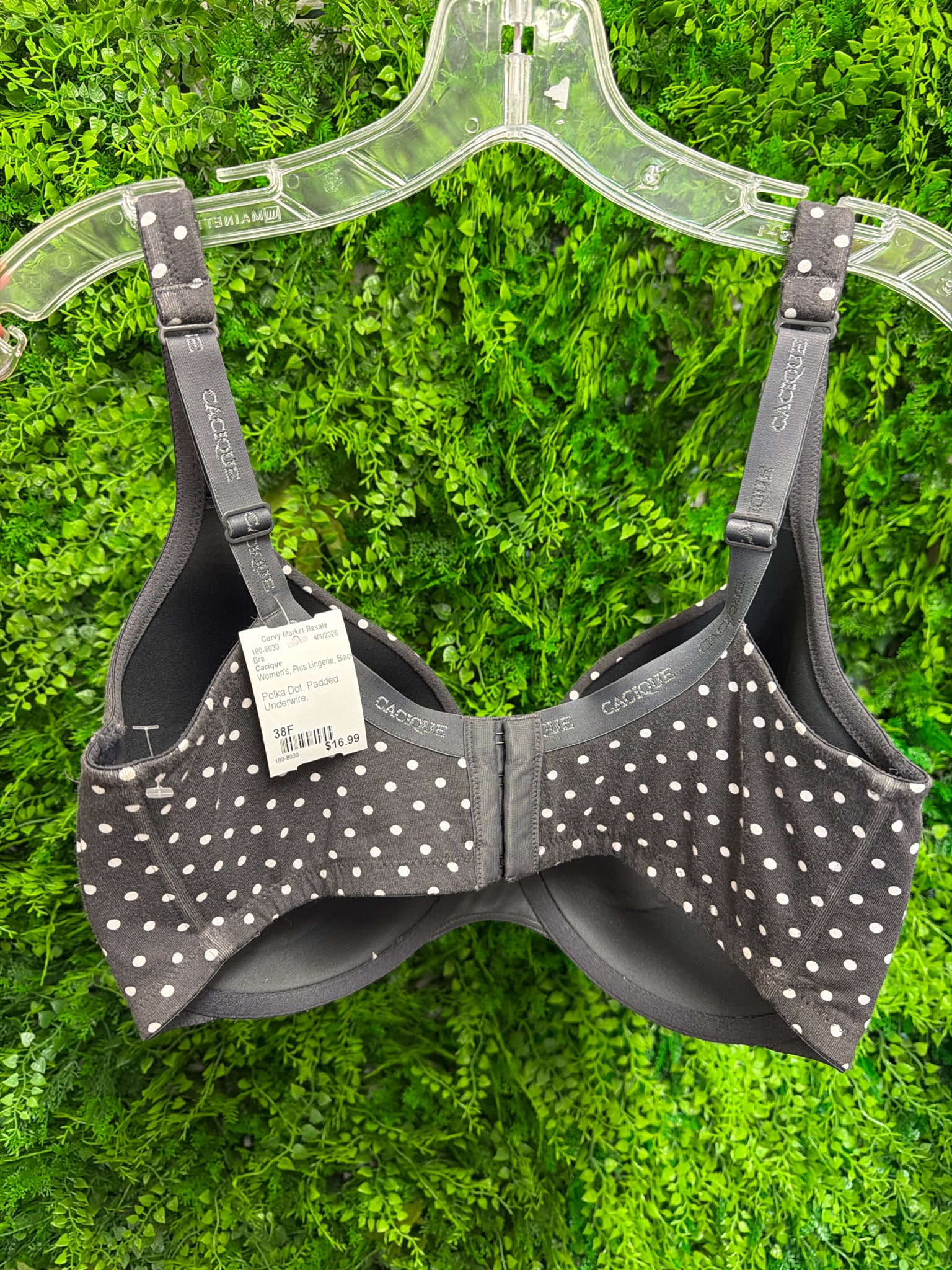 Cacique Plus Lingerie Size 38F Bra