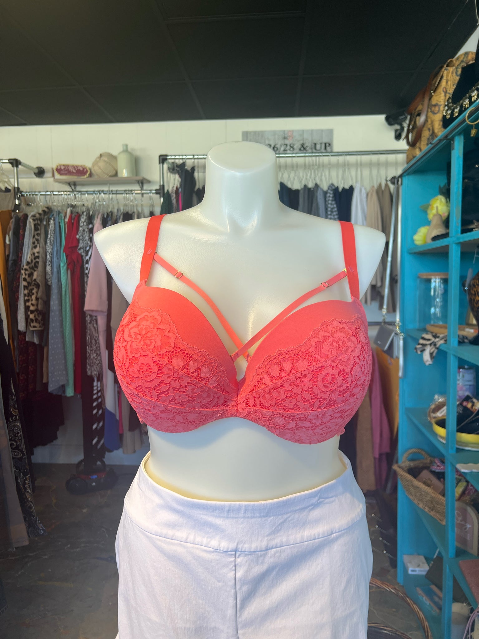 Cacique Plus Lingerie Size 48B Bra