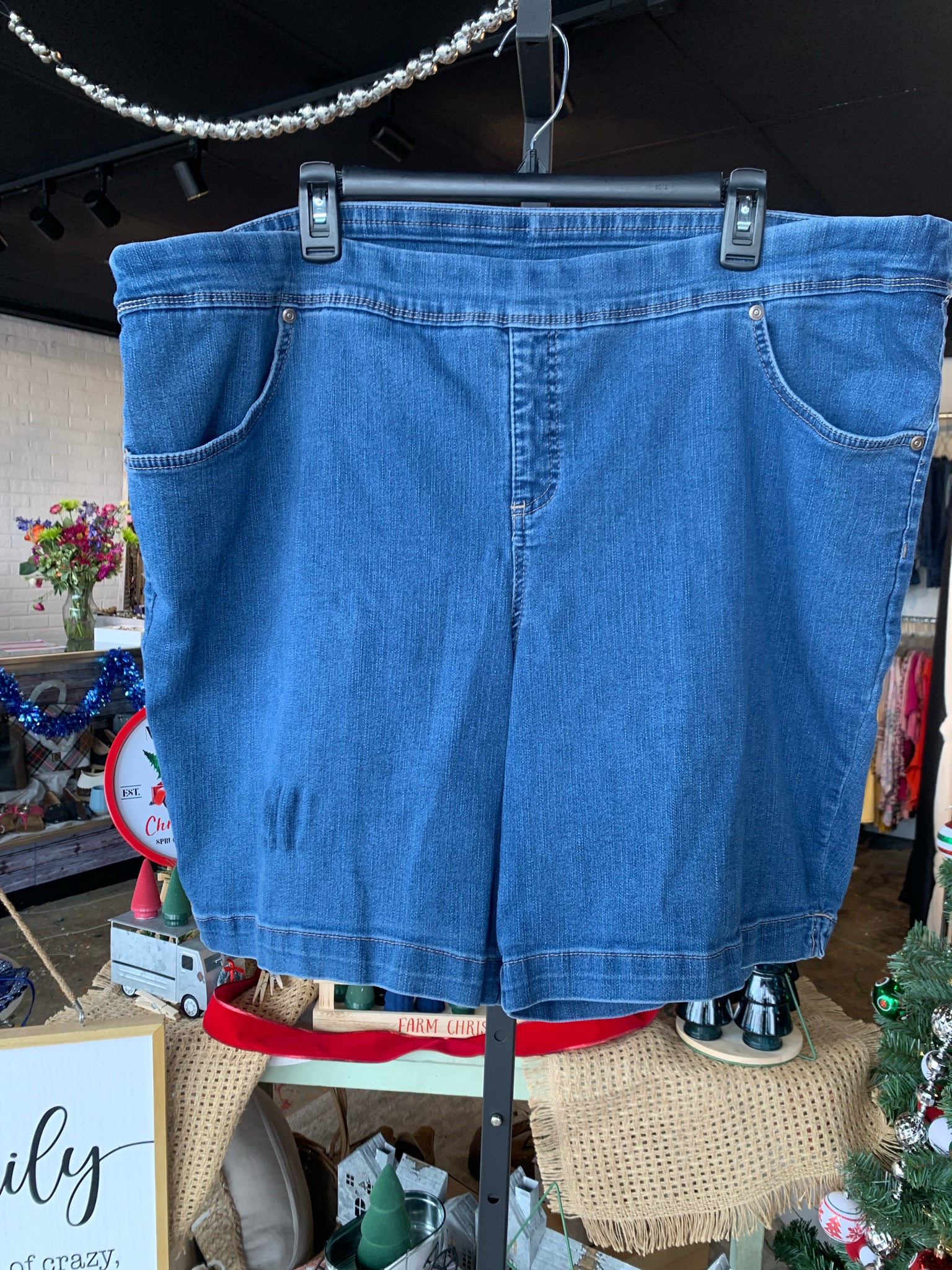 Terra & Sky Plus Bottoms Size 2X Shorts