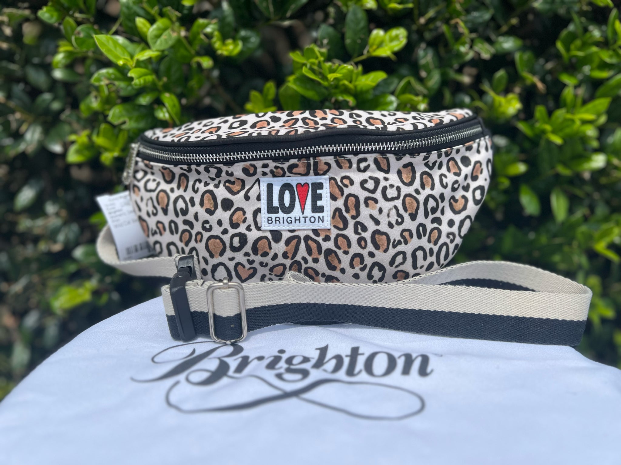 Brighton Animal Print Purse