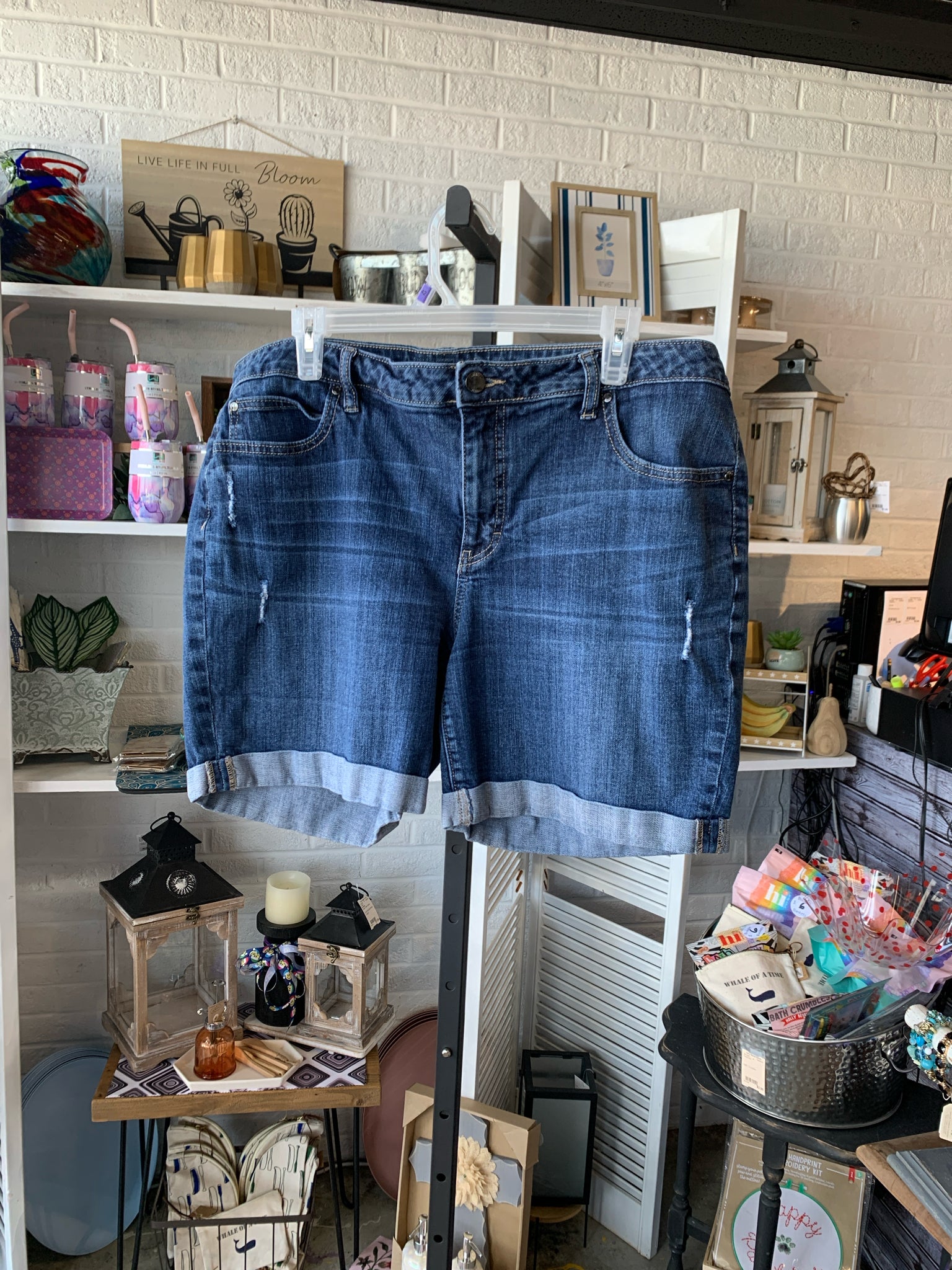 Jennifer Lopez Plus Bottoms Size 16W Shorts