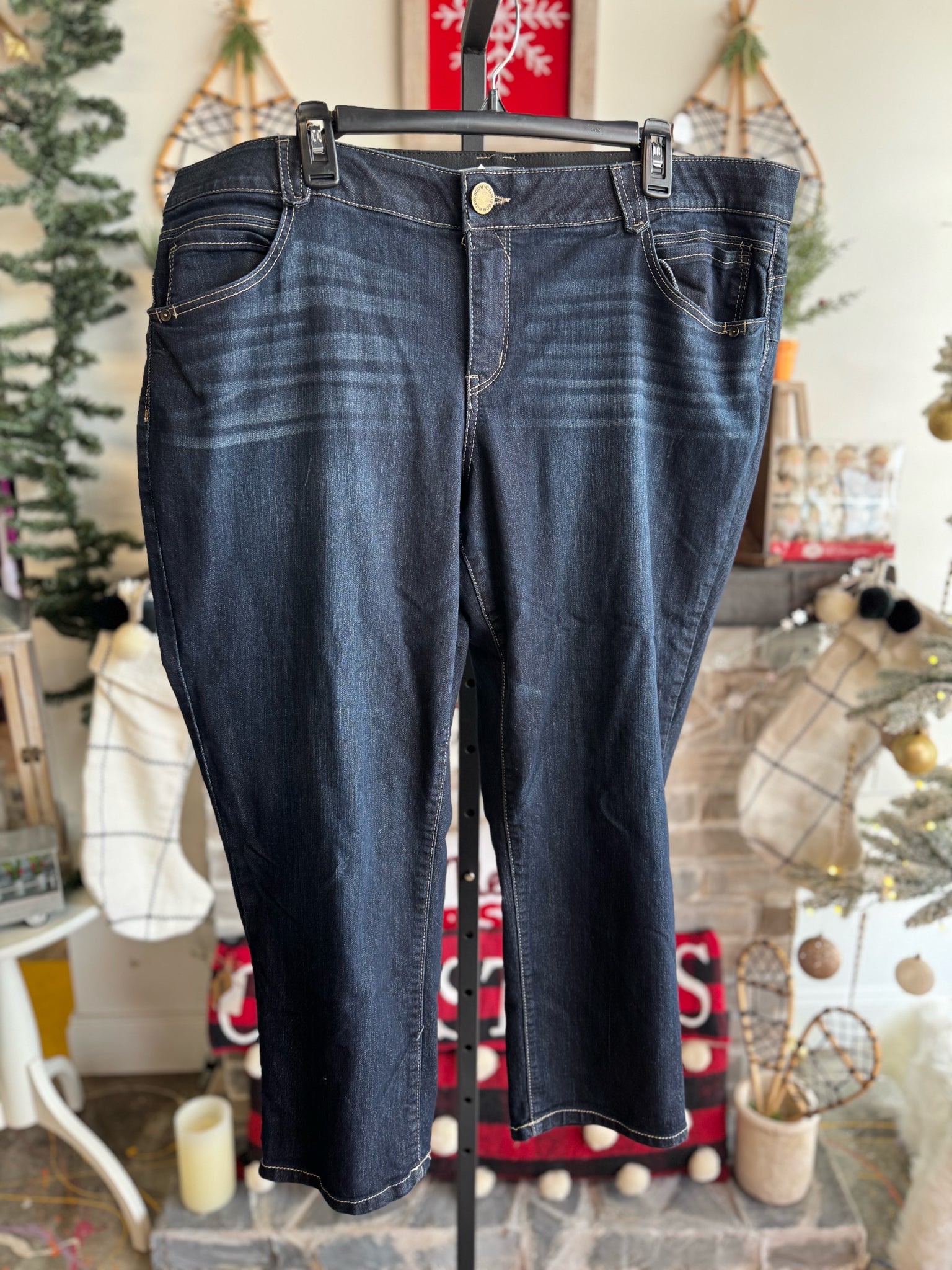 Wit & Wisdom Plus Bottoms Size 22W Jeans