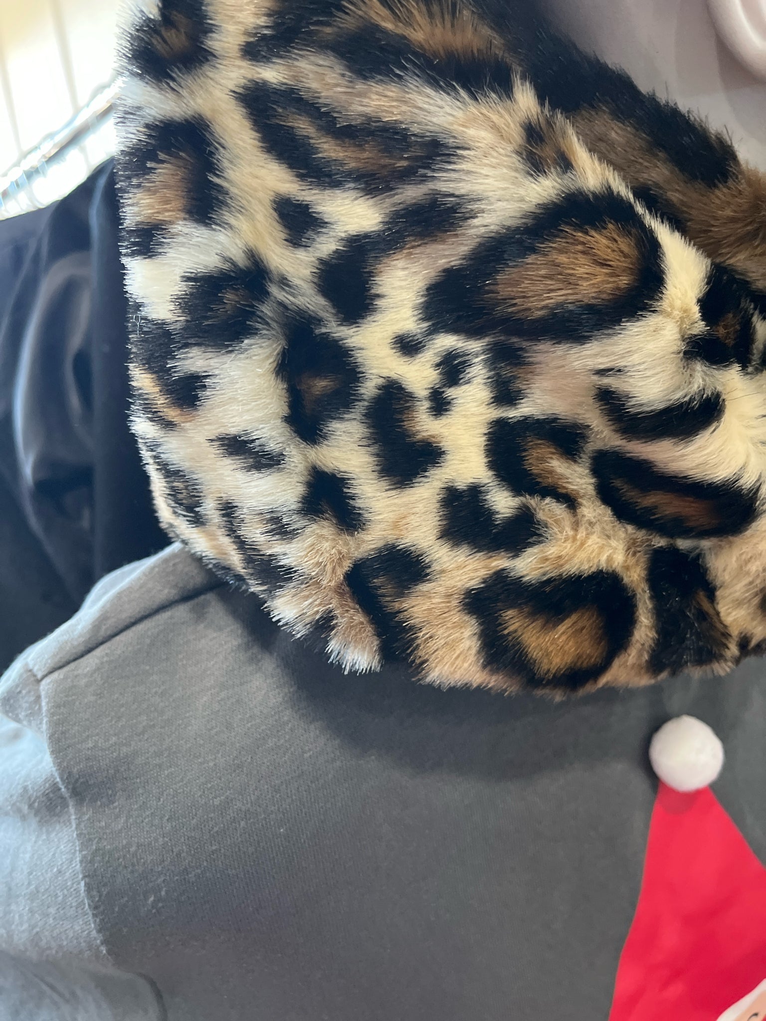 Ann Taylor Women's Animal Print Scarf