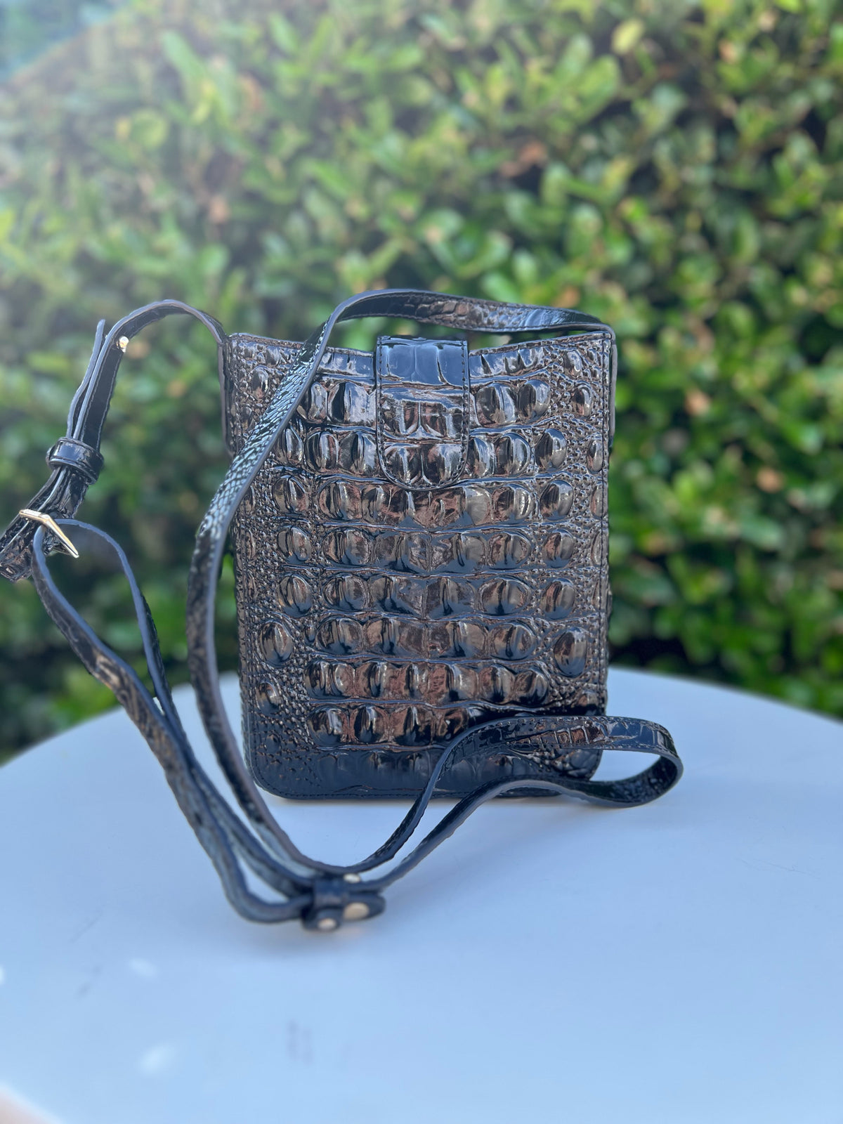 Brahmin Black Purse