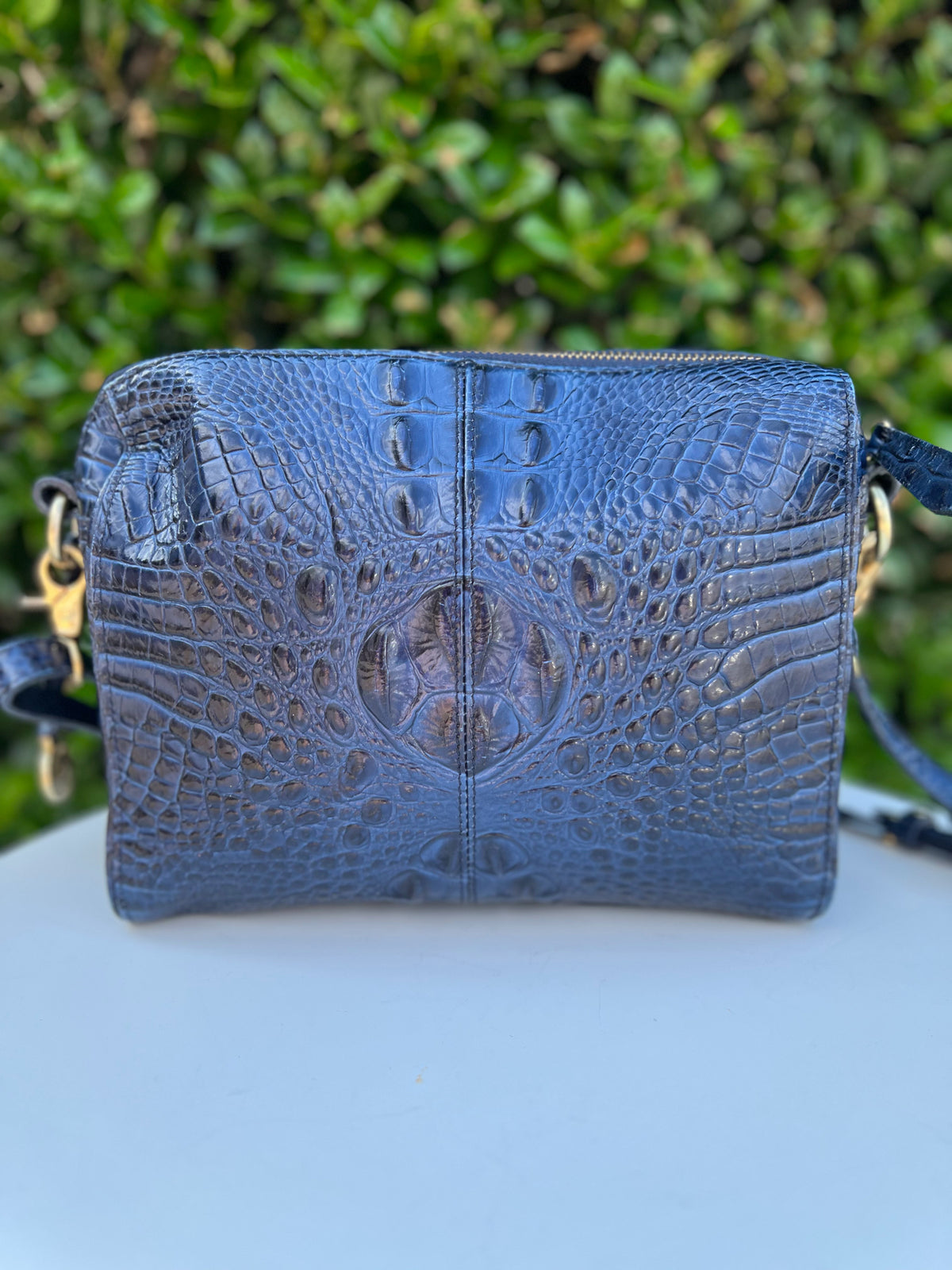 Brahmin Navy Purse