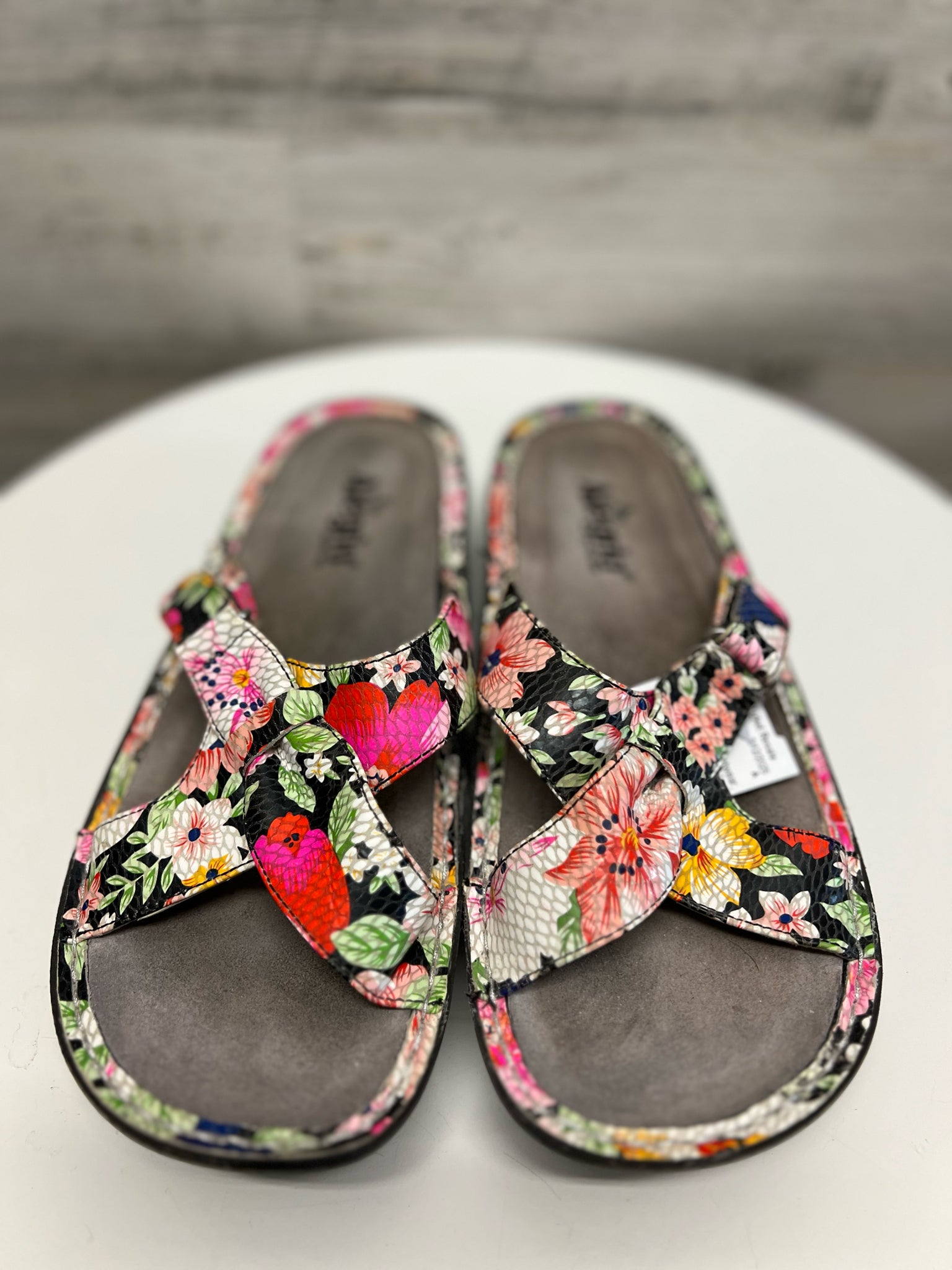 Alegria Shoes/Footwear 10.5 SHOES