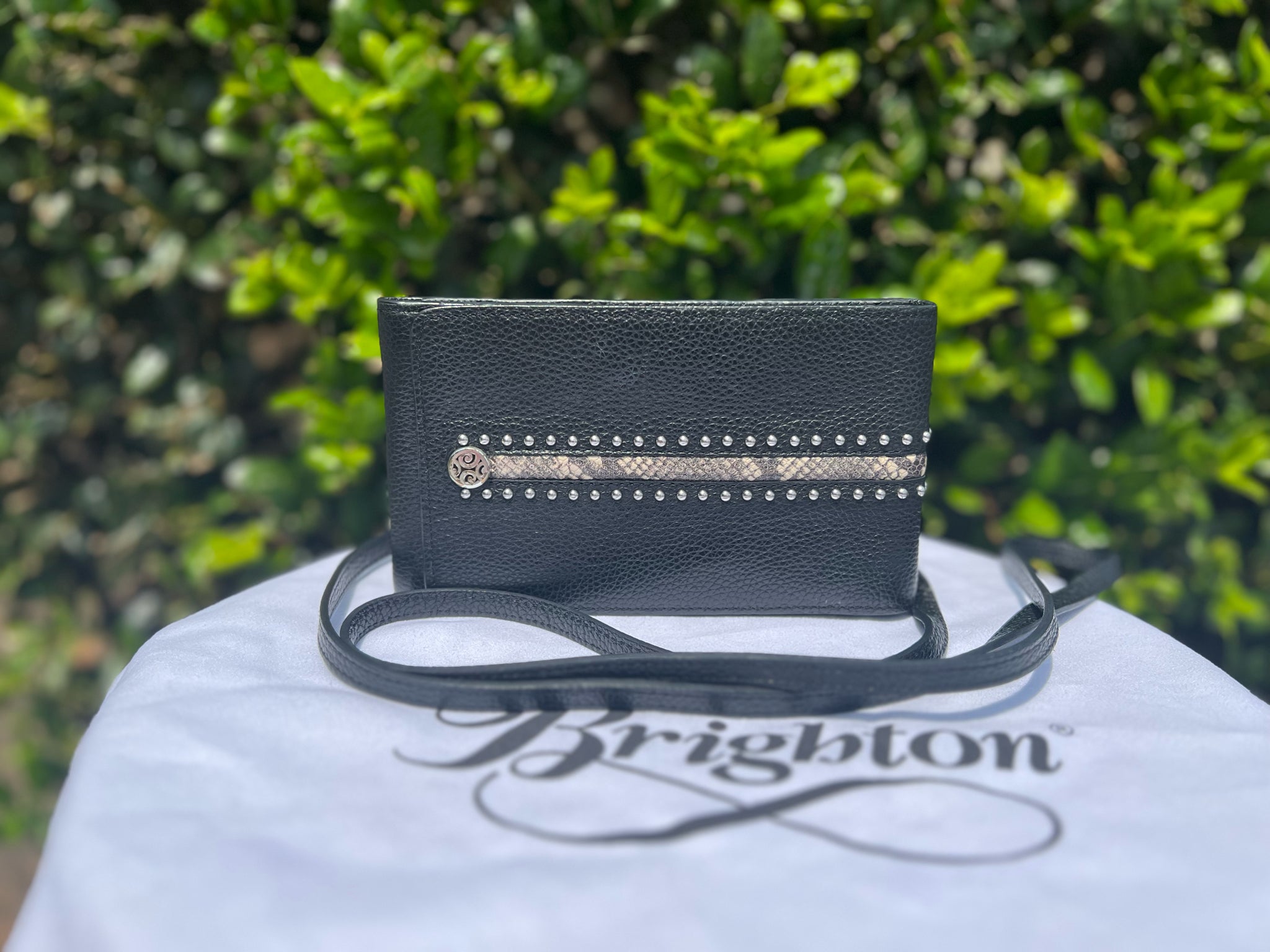 Brighton Black Purse