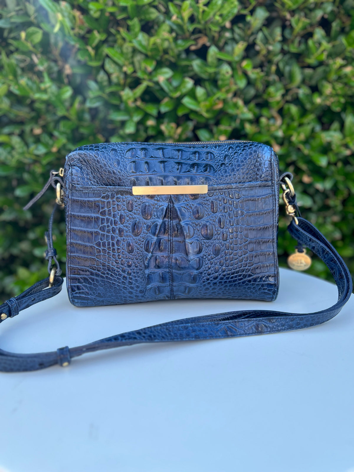 Brahmin Navy Purse