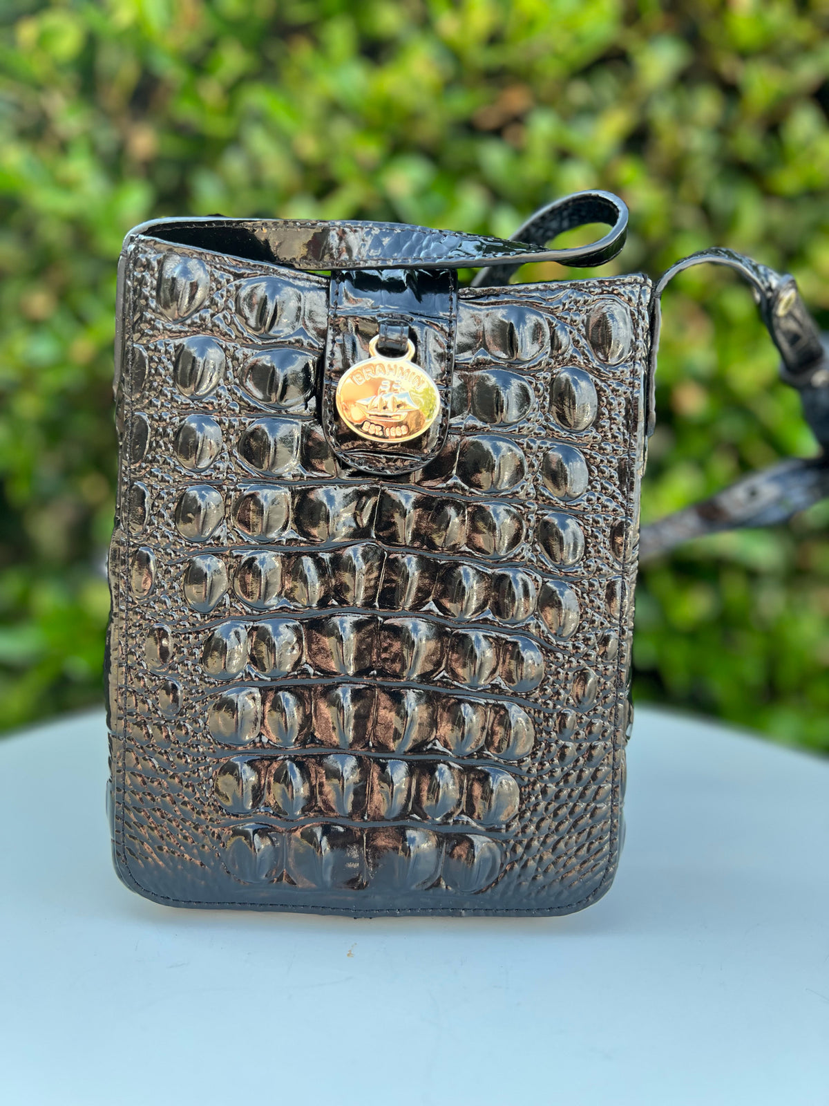 Brahmin Black Purse