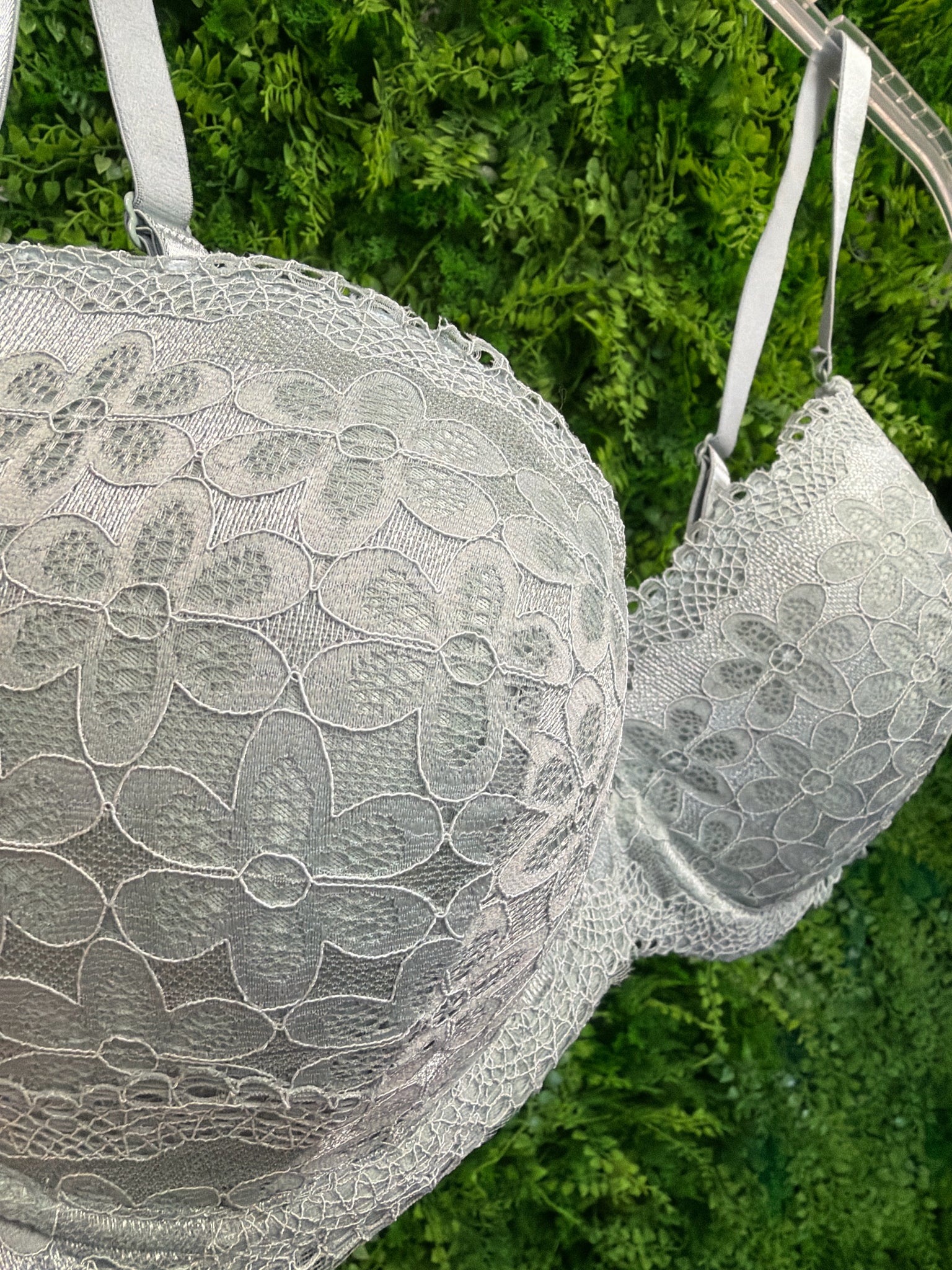 Sophie B. Plus Bottoms Size 38D Bra