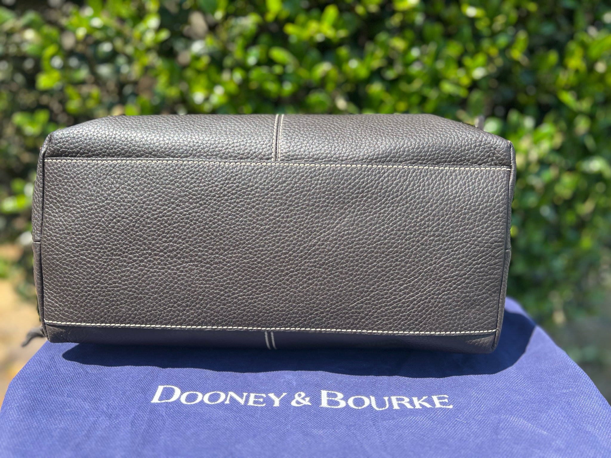 DOONEY & BOURKE Dark Brown Purse