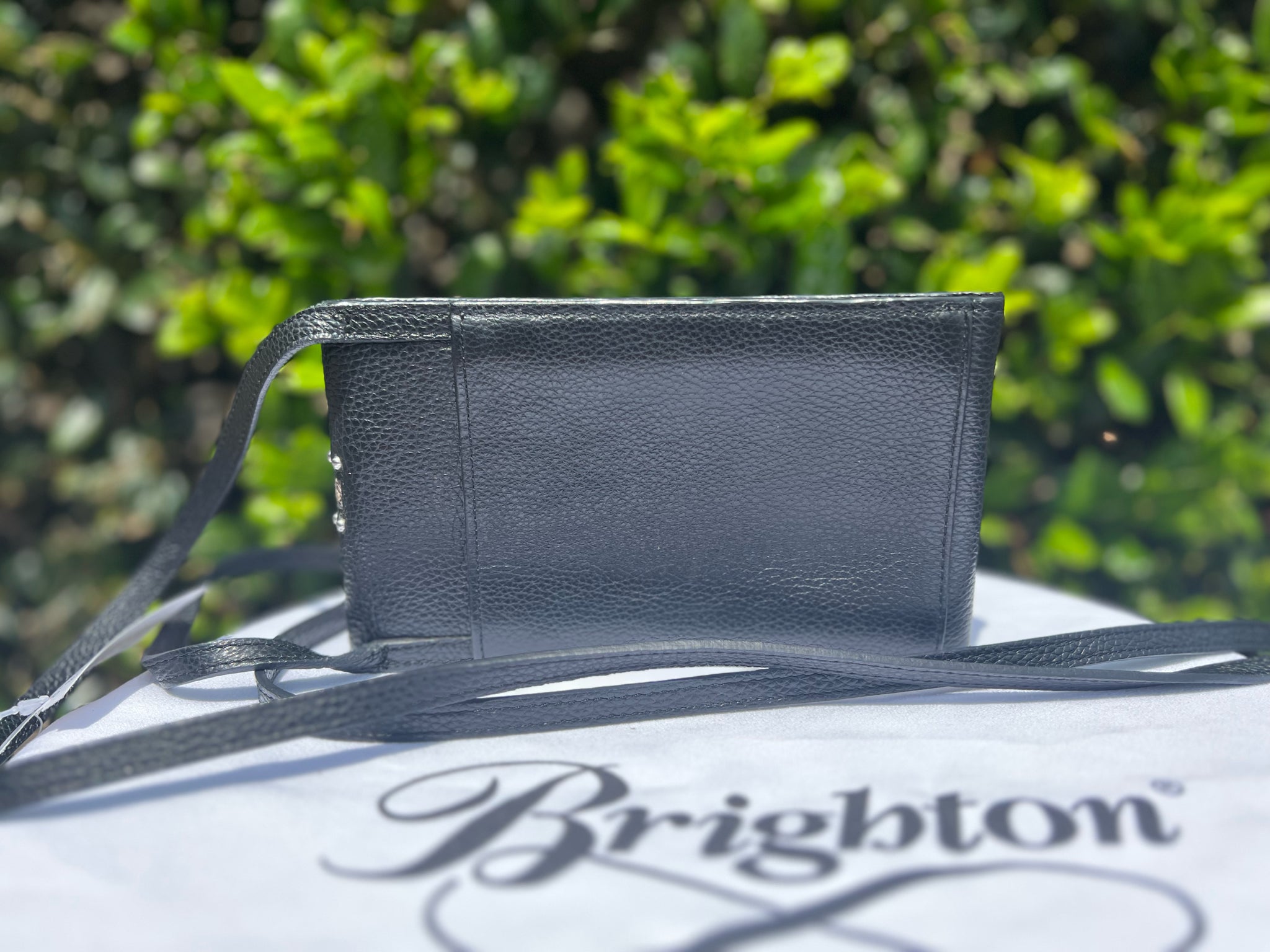 Brighton Black Purse