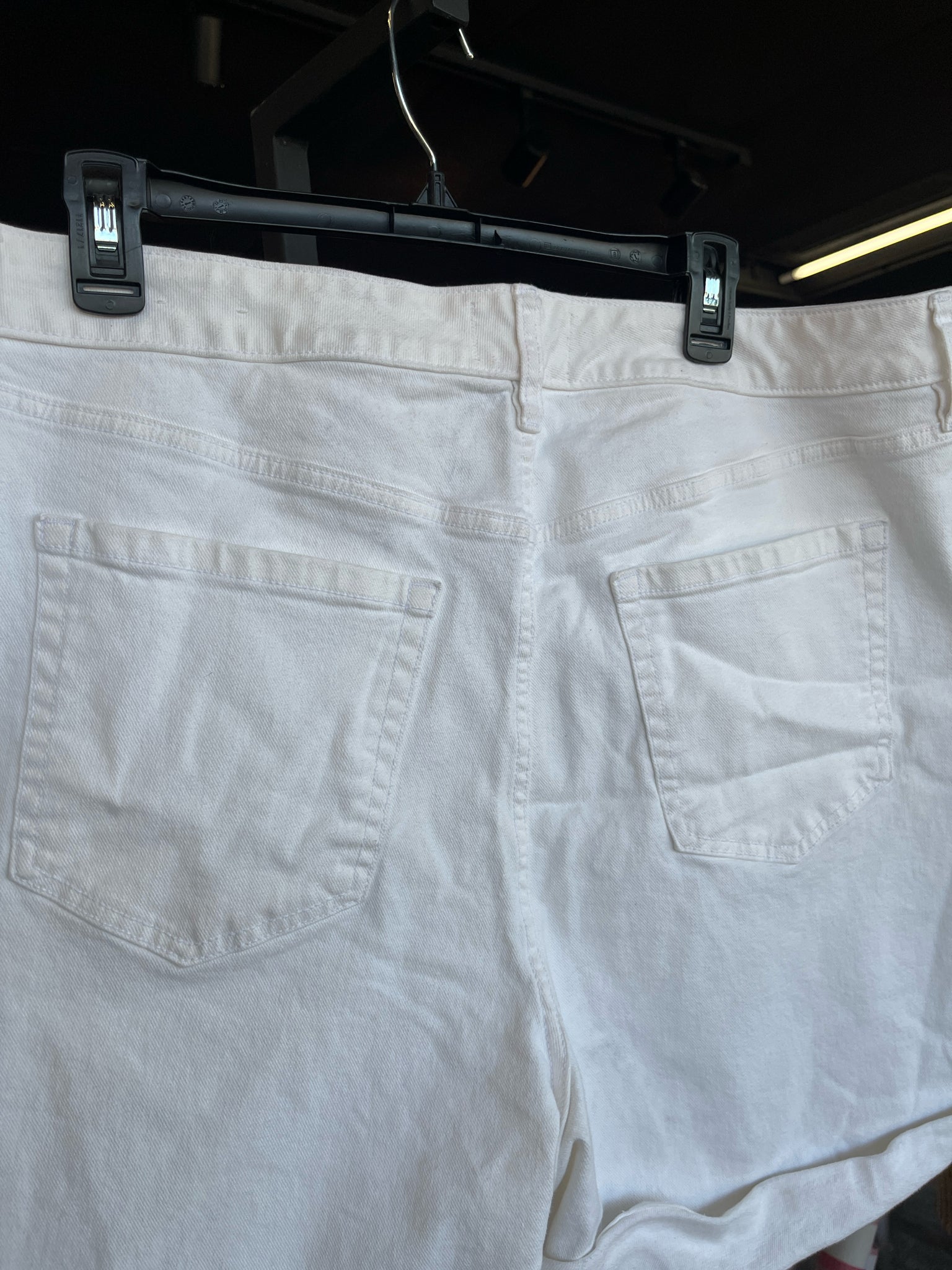 Lane Bryant Plus Bottoms Size 20 Shorts