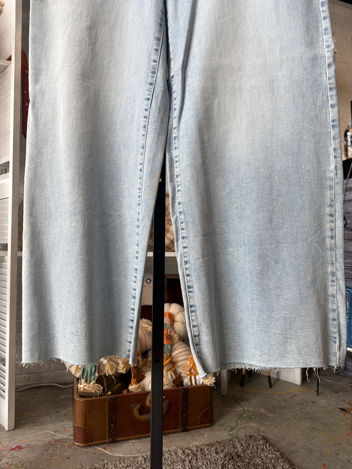 Banana Republic Plus Bottoms Size 33/16 Jeans