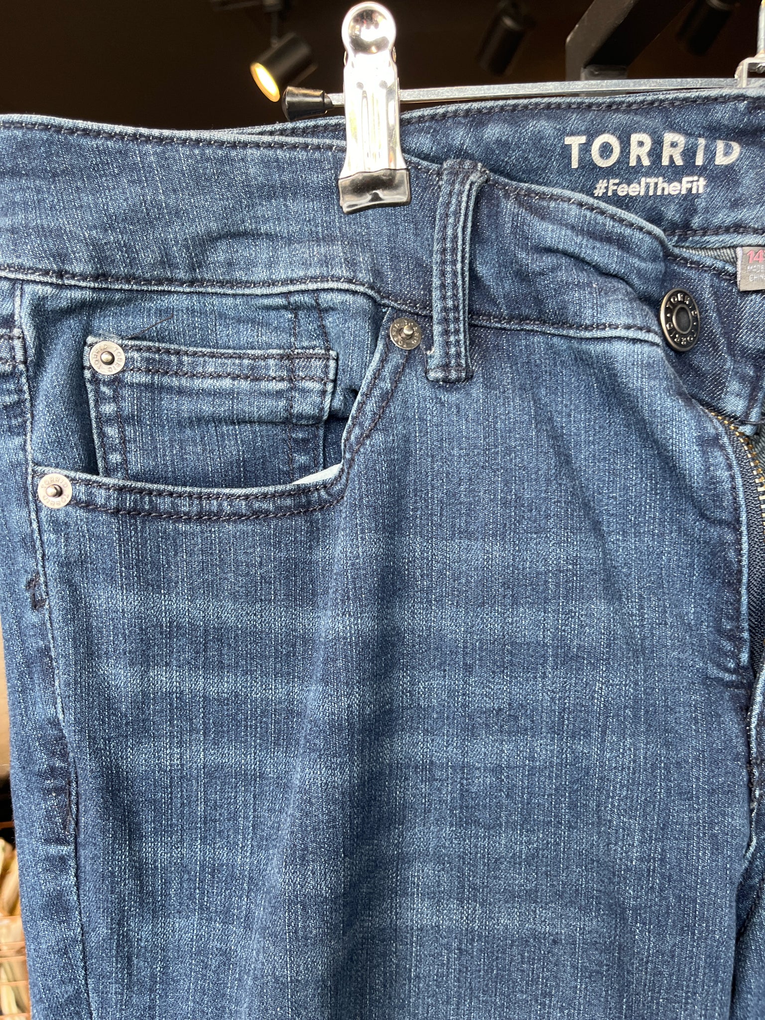torrid Plus Bottoms Size 14T Jeans