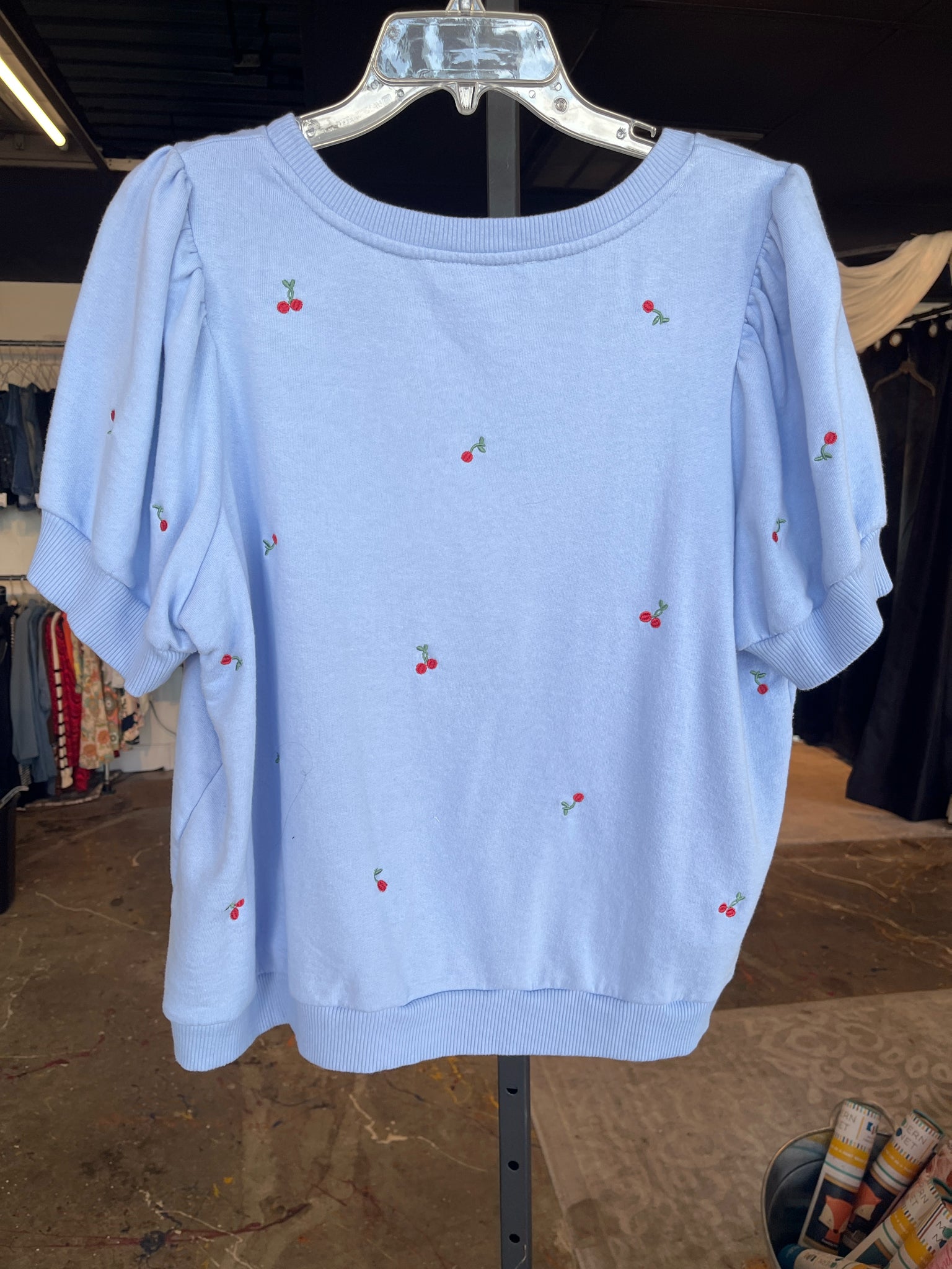 Chelsea and Theodore Plus Tops Size 1X Blouse