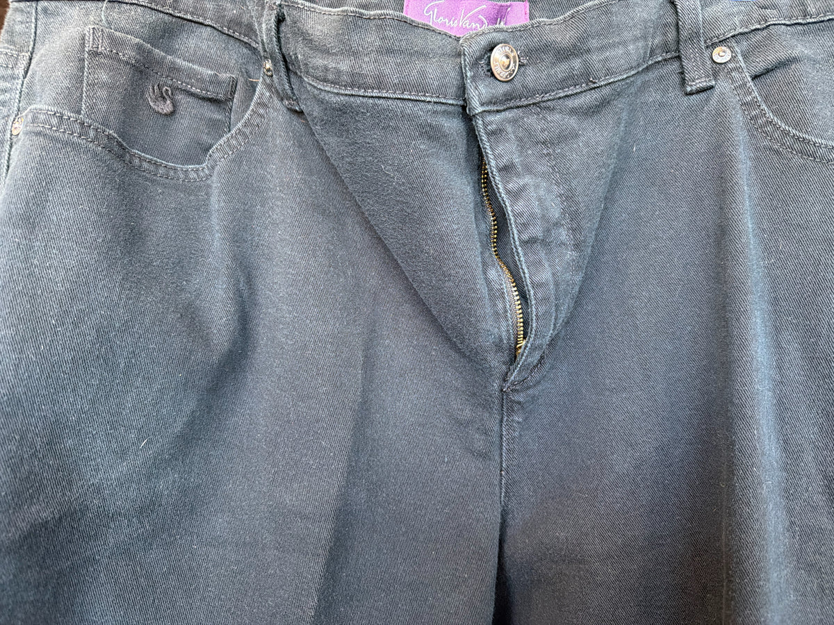 GLORIA VANDERBILT Plus Bottoms Size 22W Jeans